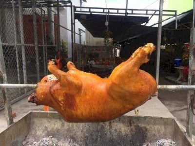 Bảng báo giá con bê giá rẻ nhất hiện nay 2