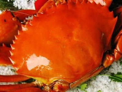 Bảng báo giá cua Cà Mau tại Hà Nội 2