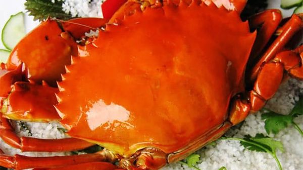 Bảng báo giá cua Cà Mau tại Hà Nội 2