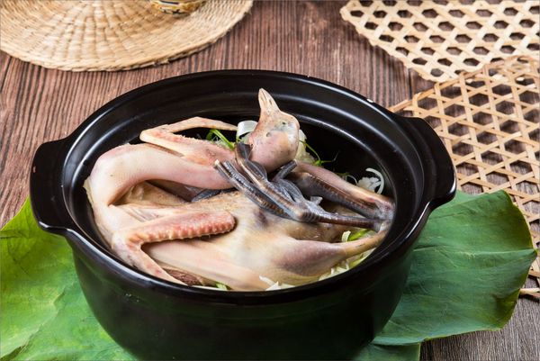 Bảng báo giá chim sâm cầm tại Hà Nội 1