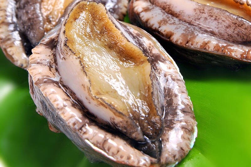 địa chỉ bán bào ngư uy tín tươi sống giá rẻ i