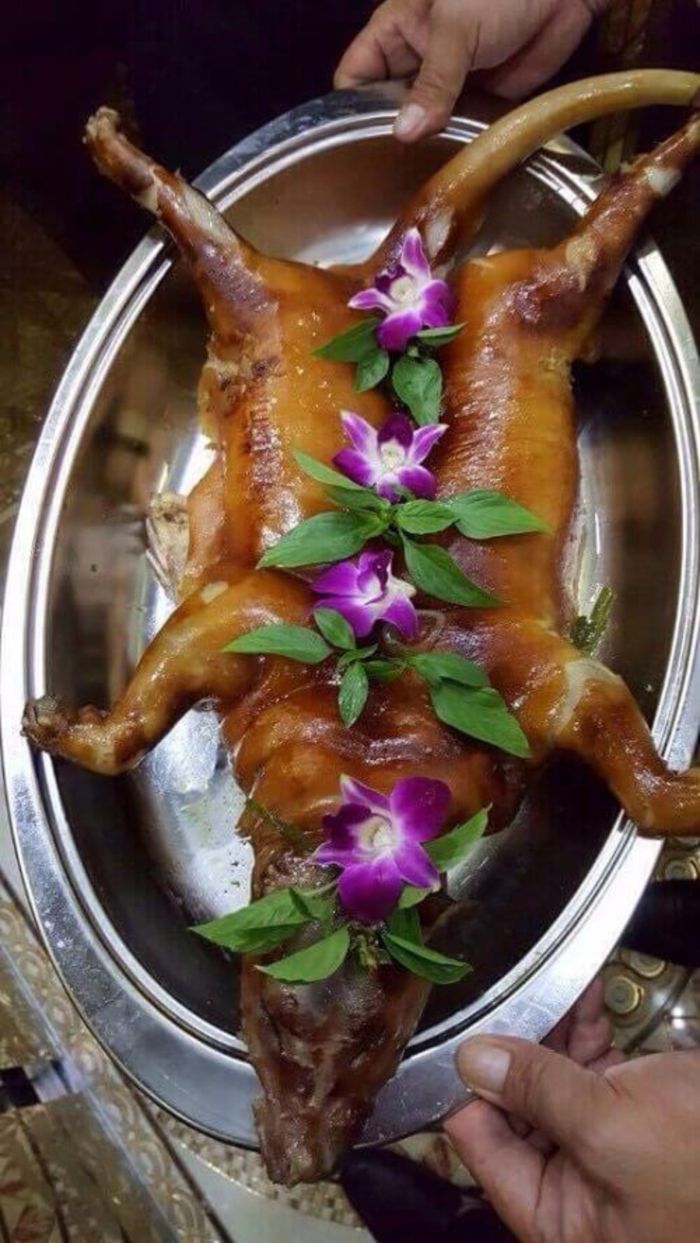 7 Địa chỉ bán cầy hương tươi sống, chất lượng tại Hà Nội 2