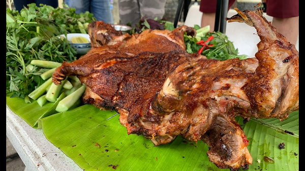 Bảng báo giá chồn hương giá rẻ nhất hiện nay