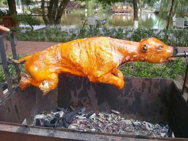 Bảng báo giá bê quay giá rẻ nhất hiện nay 3