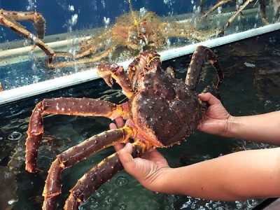 Hải sản cao cấp vô cùng tươi ngon tại Hải sản Baba