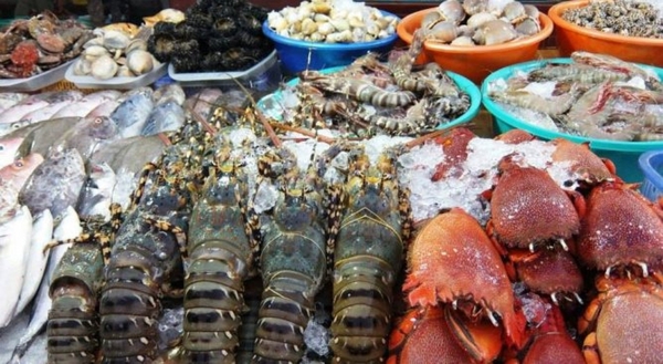 Hải sản nhập trong ngày, chế biến tươi ngon giúp bạn yên tâm thưởng thức