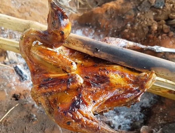 Bảng báo giá gà rừng giá rẻ nhất hiện nay 2