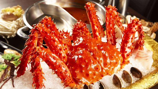 Bảng báo giá cua hoàng đế tại Hà Nội 3