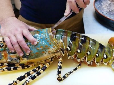 7 Địa chỉ bán tôm hùm tươi sống, chất lượng tại Hà Nội