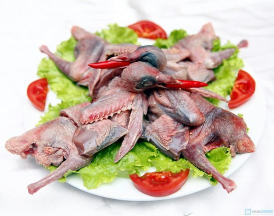 Địa chỉ bán chim uy tín tươi sống chất lượng tại Hà Nội