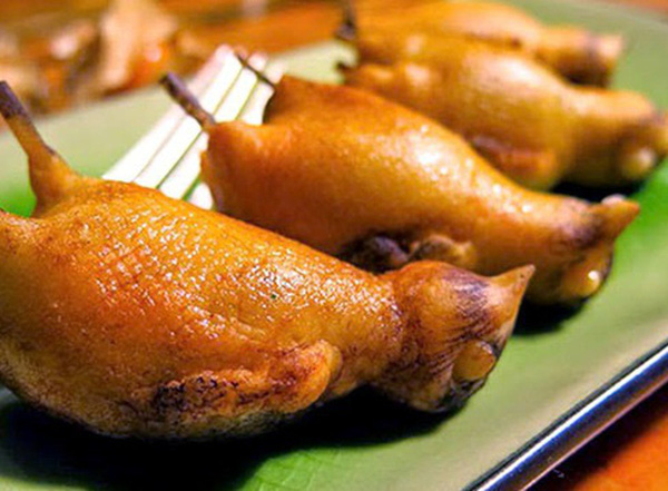 Địa chỉ bán chim Hà Nội