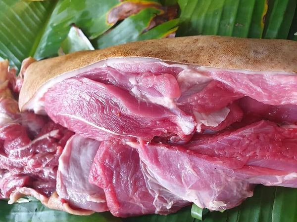 Top 5 đơn vị bán dê giá rẻ tại Hà Nội 2