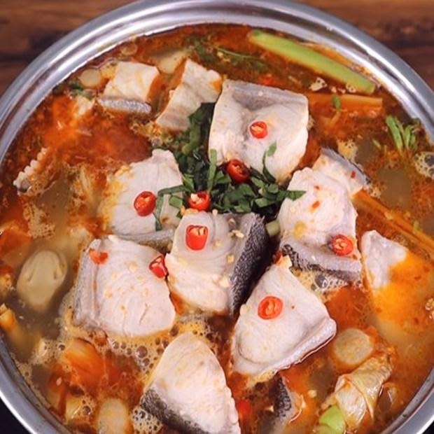 Bảng báo giá cá bớp (giò) giá rẻ nhất hiện nay