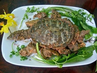 bảng báo giá cua Đinh giá rẻ nhất hiện nay 2