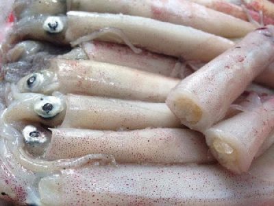 Bảng báo giá mực tươi sống giá rẻ nhất hiện nay