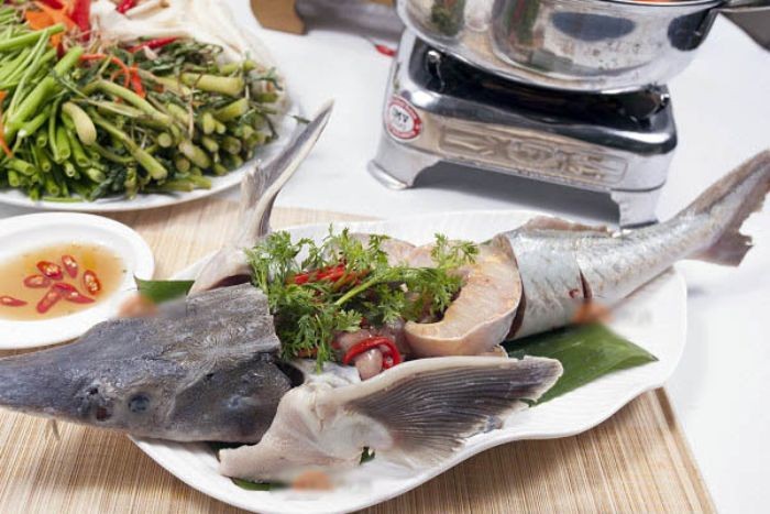 Cá tầm là con gì? Cá tầm là loài cá nước ngọt có giá trị dinh dưỡng cao. Với hàm lượng vitamin A, selen và DHA cao, bổ ích cho sức khỏe con người.
