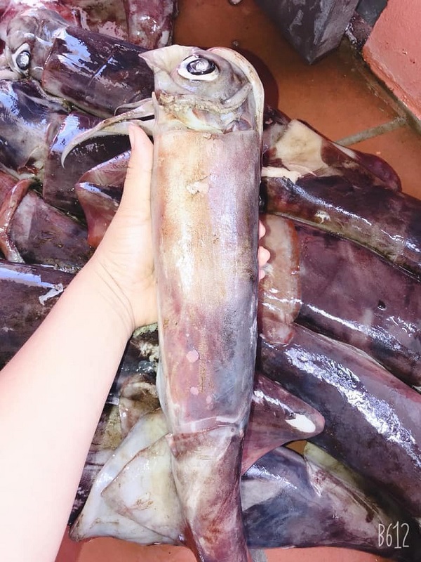 Mực xà - món ăn được nhiều người yêu thích