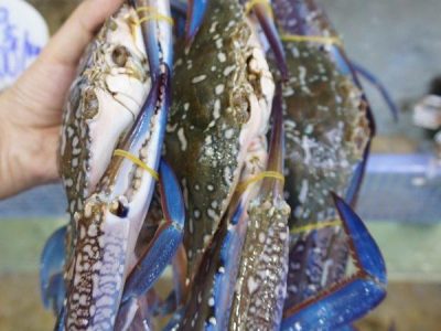 Bảng Giá Ghẹ Giá Rẻ Nhất Hiện Nay