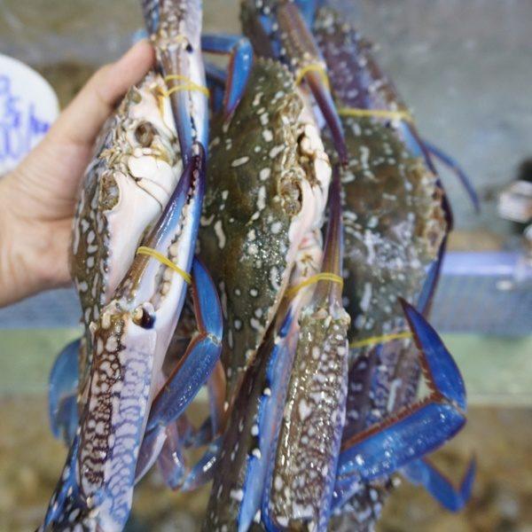 Bảng Giá Ghẹ Giá Rẻ Nhất Hiện Nay Bảng Giá Ghẹ Giá Rẻ Nhất Hiện Nay
