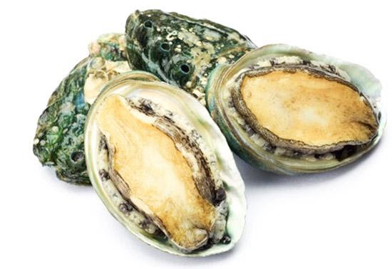 Bào ngư làm món gì ngon, Giá bao nhiêu tiền hiện nay