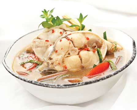 Cá Giò ( Bớp Biển )