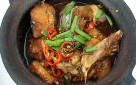 Cá Giò ( Bớp Biển )