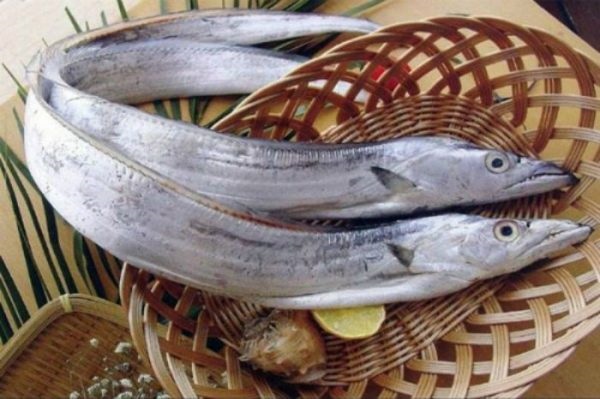 Giá trị dinh dưỡng và lợi ích của cá hố