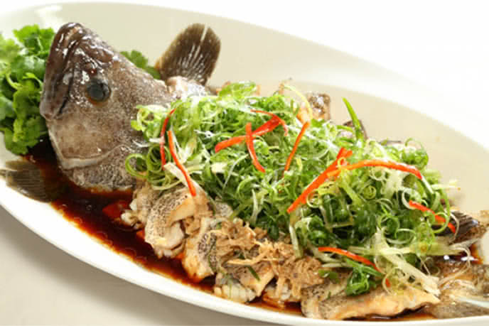 Cá Mú Sống