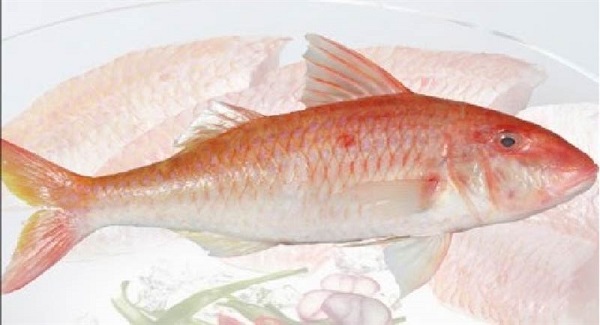 Cá phèn đỏ