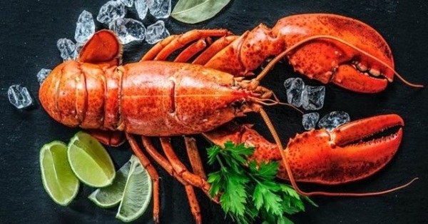 Phần lớn tôm hùm Alaska tại nước ta đều được nhập khẩu