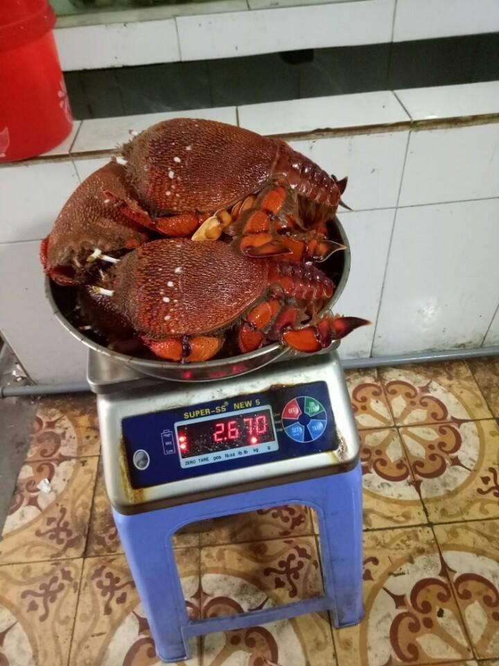 Cua Huỳnh Đế làm món gì ngon? Giá bao nhiêu tiền hiện nay?