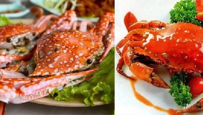 Sự khác biệt giữa cua và ghẹ đã qua chế biến