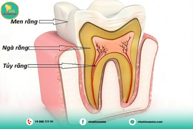 Địa chỉ Phòng khám nha khoa uy tín tốt Biên Hòa Đồng Nai