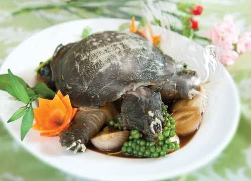Lưu bản nháp tự động
