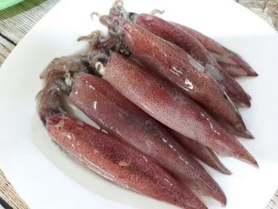 Mực sữa là gì? Giá trị dinh dưỡng có trong mực sữa và các món ngon được chế biến từ mực sữa