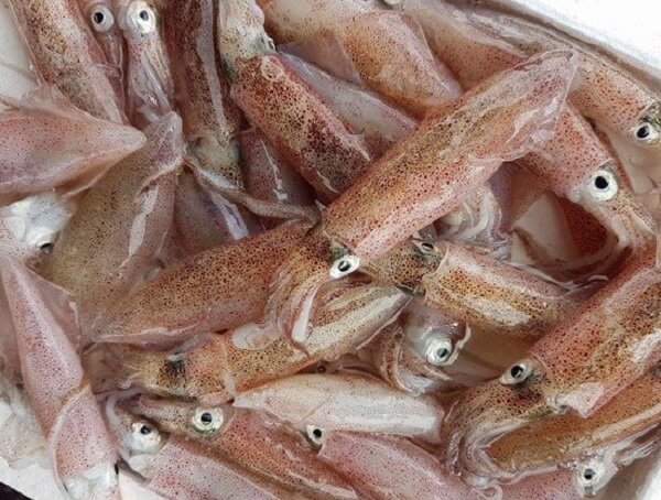 Mực sữa với vị béo ngậy