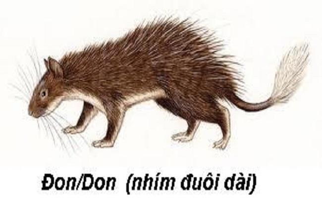 Tham khảo bảng giá rôn giá rẻ nhất hiện nay trên thị trường Tham khảo bảng giá rôn giá rẻ nhất hiện nay trên thị trường