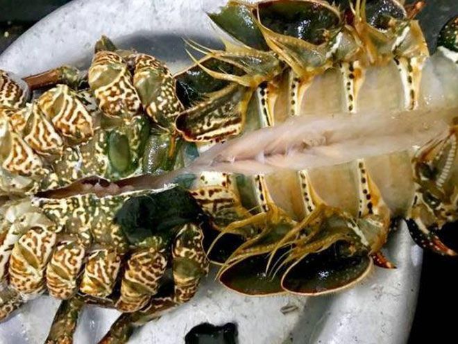 Tôm Hùm Cháy tỏi ( 0,5Kg)